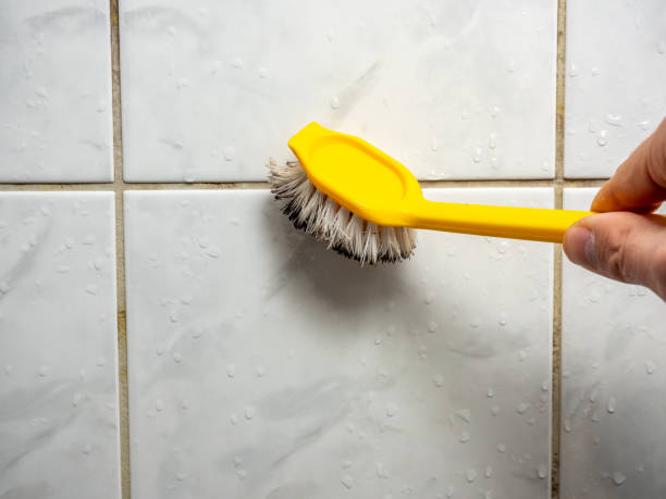 Best Mold Testing  in Destrehan, LA