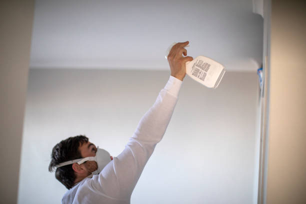 Best Crawl Space Mold Removal  in Destrehan, LA