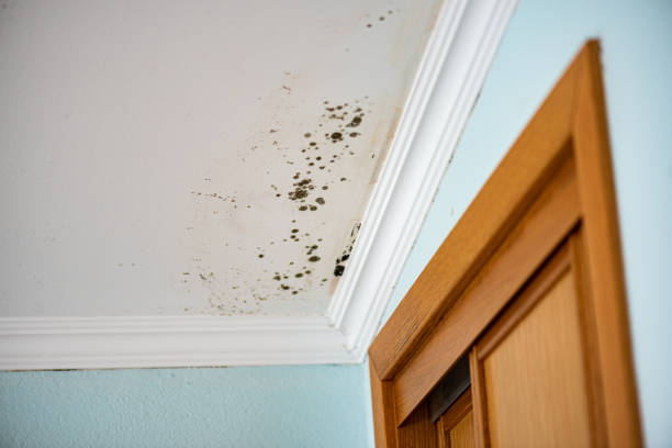 Water Damage Restoration in Destrehan, LA