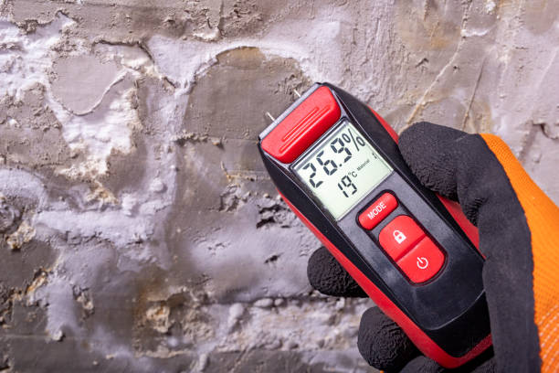 Best Office Mold Removal Services  in Destrehan, LA