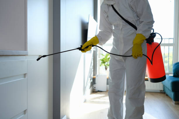 Professional Mold Removal in Destrehan, LA