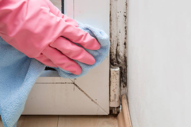 Best Residential Mold Removal  in Destrehan, LA
